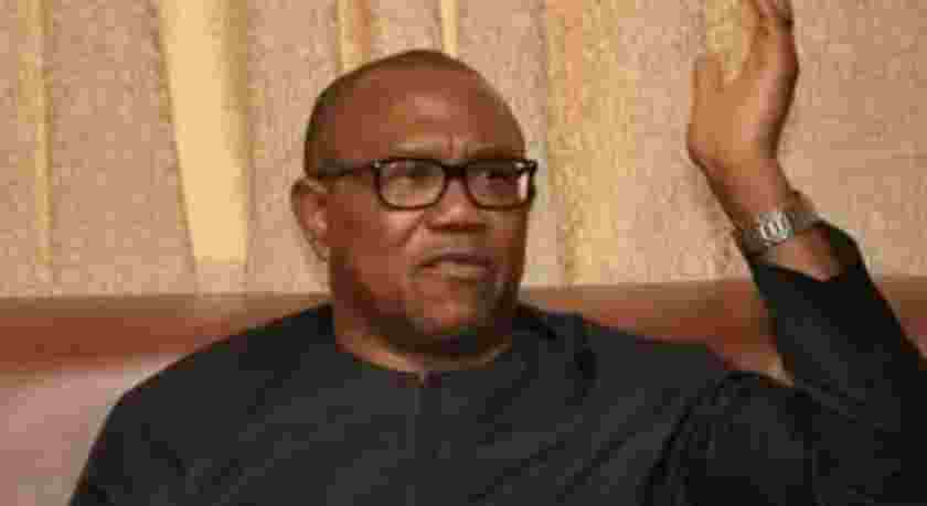 'This Will Happen to My Children If I Stole Public Fund', Peter Obi Reacts to Diversion of Money Allegations